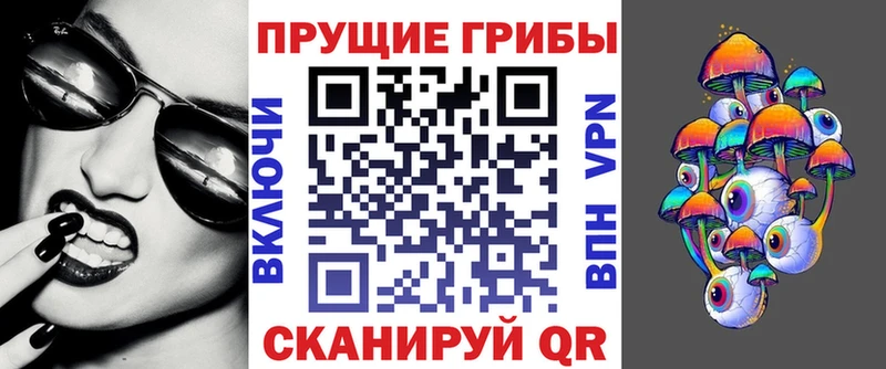 купить наркотик  Нестеровская  Галлюциногенные грибы GOLDEN TEACHER 