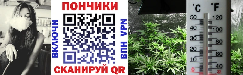 Бошки марихуана тримм  цены   Нестеровская 